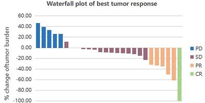 Anlotinib Combined With Anti-PD-1 Antibodies Therapy in Patients With Advanced Refractory Solid Tumors: A Single-Center, Observational, Prospective Study